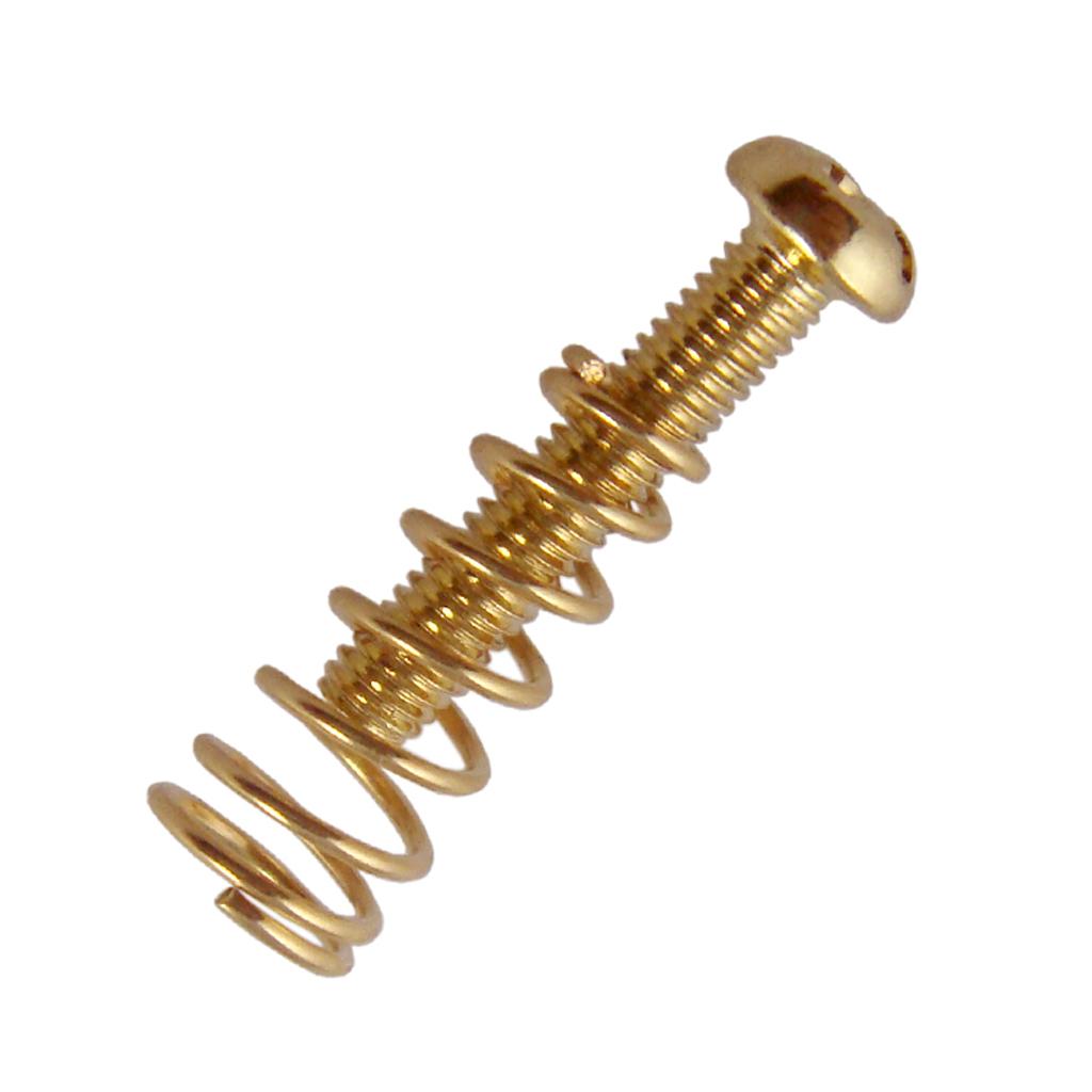 Tornillos para puente de guita - Elektronik Repair reseña y precio